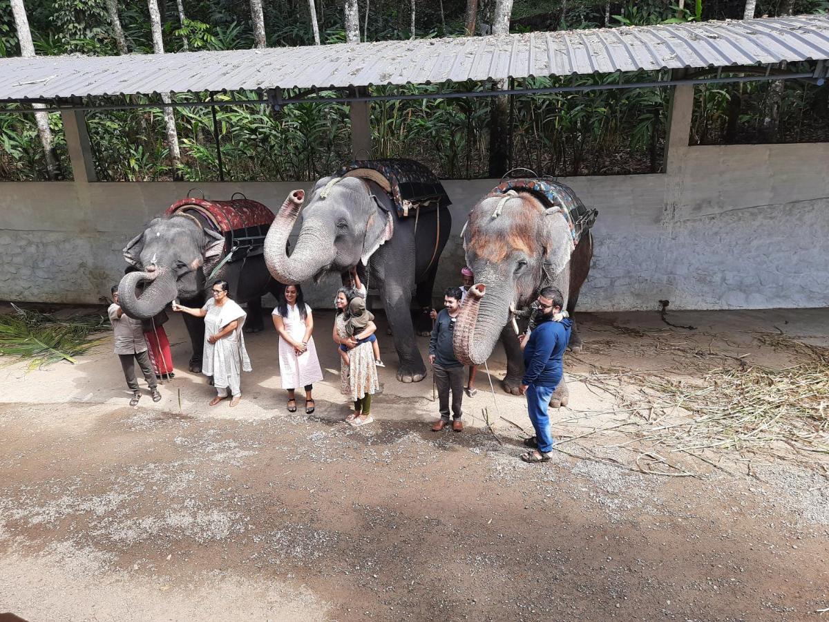 Sopanam Heritage Thekkady Ngoại thất bức ảnh